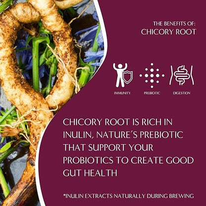 Teeccino Vanilla Nut Chicory Coffee Alternative – Caffeine-Free & Acid-Free Herbal Coffee – 11 oz Ground, Medium Roast