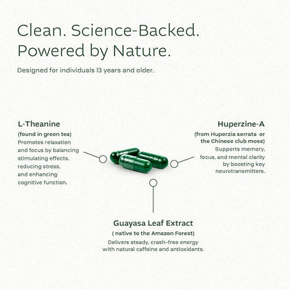 Think Foco Brain Supplement – Focus, Memory & Mental Clarity Support | 60 Capsules